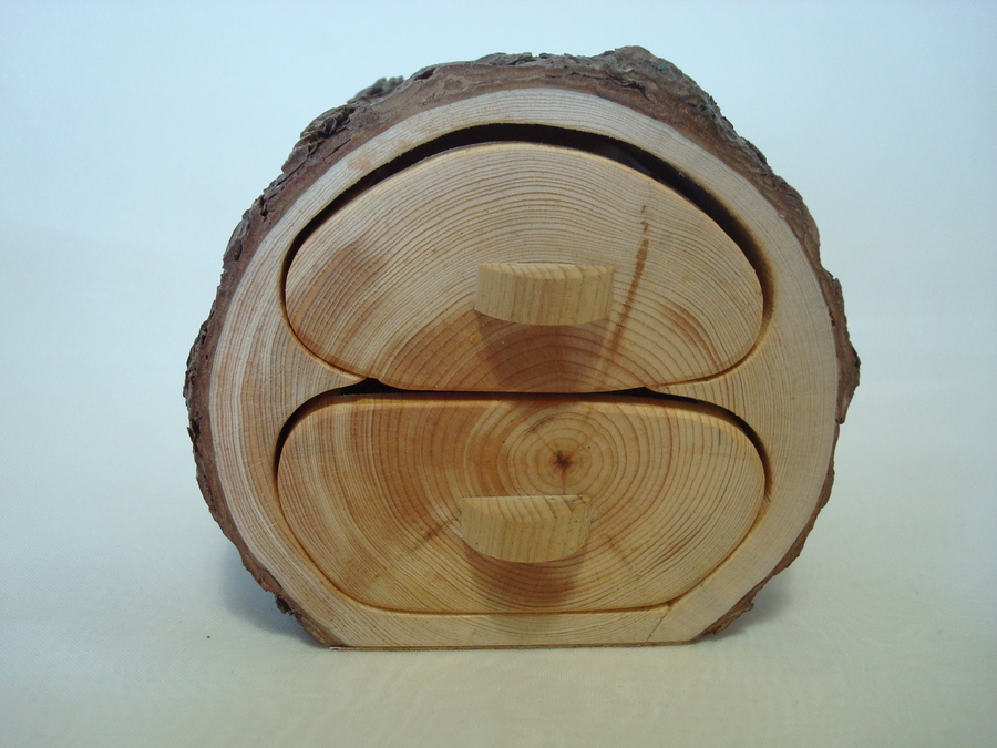 Pino resinero - Pinus pinaster,  ø 8 x 6 cm