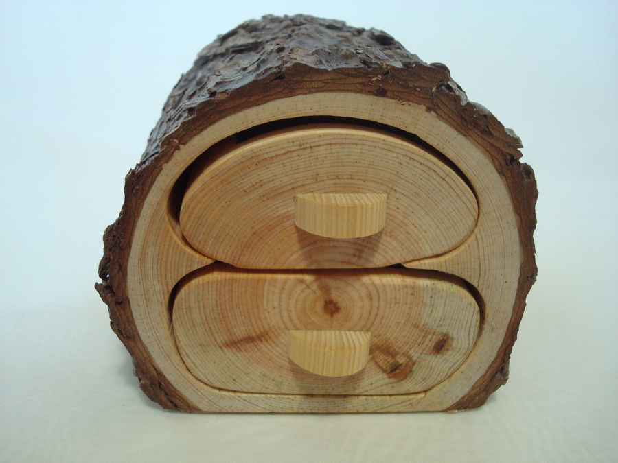 Pino resinero - Pinus pinaster, ø 9 x 7 cm