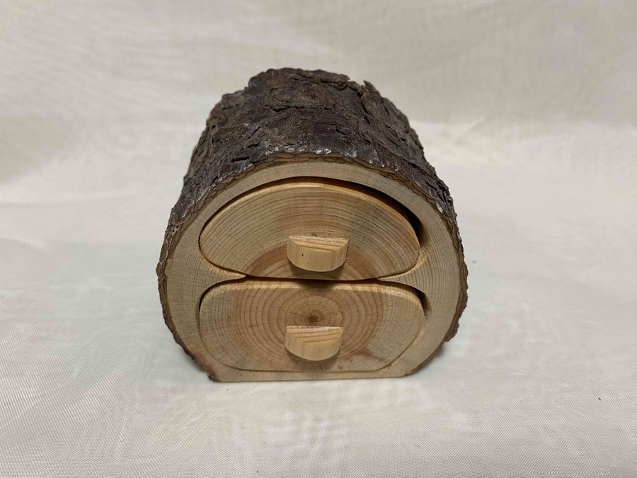 Pino resinero - Pinus pinaster