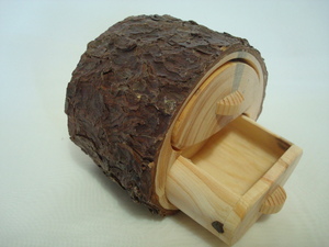 Pino resinero - Pinus pinaster