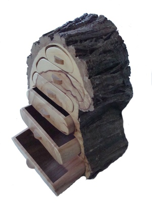 Joyero de Sabina, Juniperus thurifera
