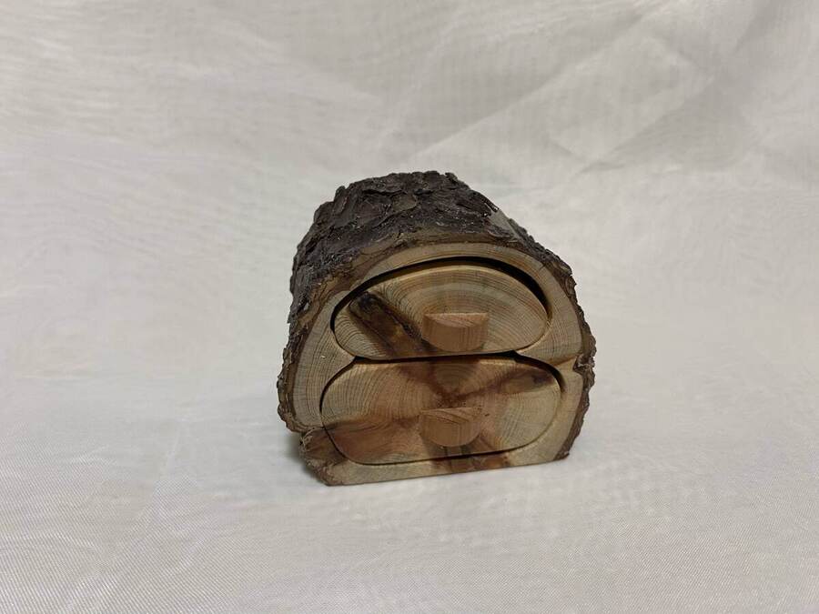 Pino resinero - Pinus piaster  >7x5 cm