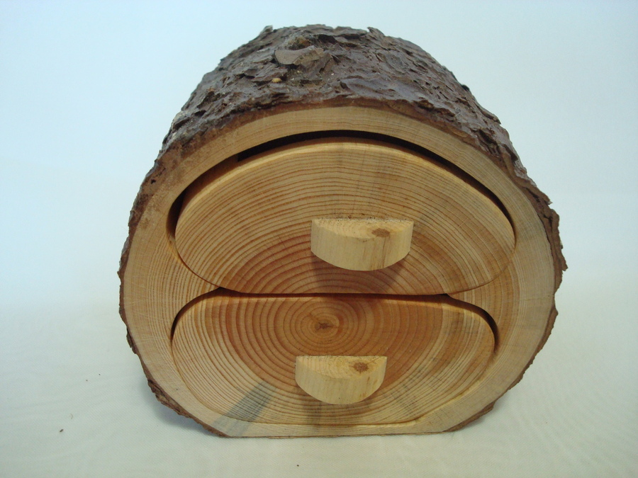 Pino resinero - Pinus pinaster, Ã¸ 9 x 7 cm