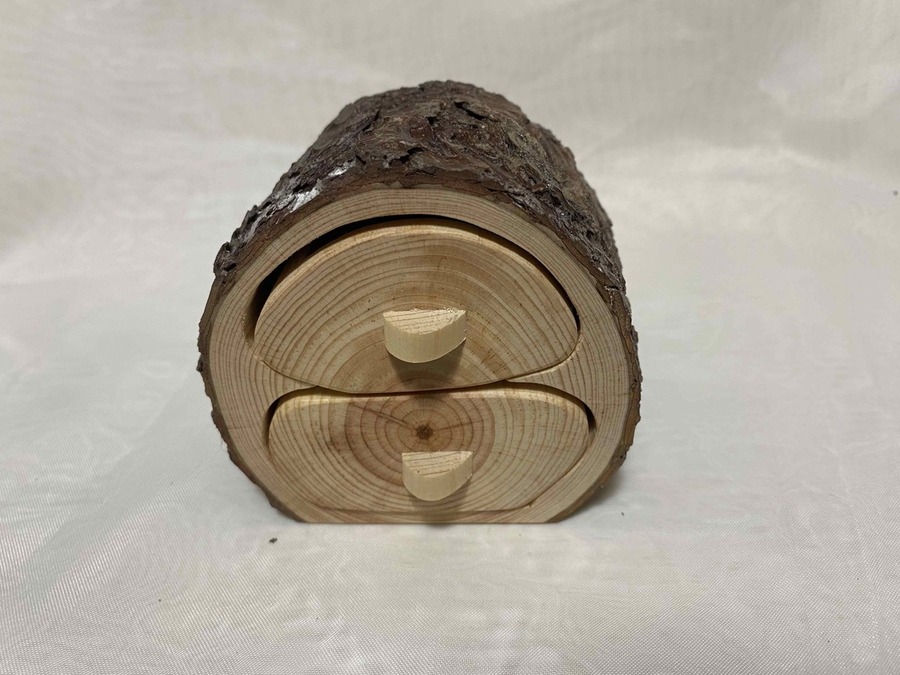 Pino resinero - Pinus pinaster, ø 9 x 7 cm